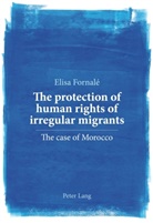 Elisa Fornalé - The protection of human rights of irregular migrants