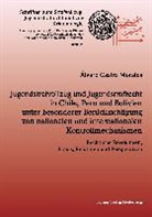 Álvaro Castro Morales - Jugendstrafvollzug und Jugendstrafrecht in Chile, Peru und Bolivien unter besonderer Berücksichtigung von nationalen und internationalen Kontrollmechanismen