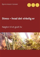 Bjarne Jessen Hansen - Stress - hvad det virkelig er