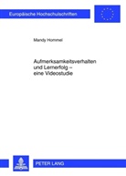 Mandy Hommel - Aufmerksamkeitsverhalten und Lernerfolg - eine Videostudie