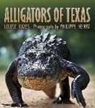 Louise Hayes, Louise/ Henry Hayes, Louise Hayes-Odum, Philippe Henry, Philippe Henry - Alligators of Texas