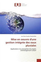 Leo Steve Goudnu Noubimboo, Noubimboo-l - Mise en oeuvre dune gestion