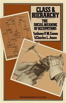 Anthony P Coxon, Anthony P. Coxon, Alexander Denev, Lorenzo Garbo, Charles L Jones, Charles L. Jones... - Class and Hierarchy: The Social Meaning of Occupations