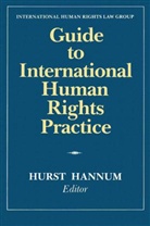 Hurst Hannum, Hurst Hannum - Guide to International Human Rights Practice