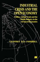 G Underhill, G. Underhill, Garry Underhill - Industrial Crisis and the Open Economy
