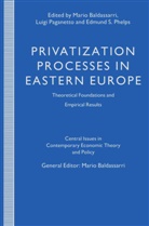 Mario Paganetto Baldassarri, Mario Baldassarri, Luig Paganetto, Luigi Paganetto, Edmund S. Phelps, Edmund S Phelps - Privatization Processes in Eastern Europe