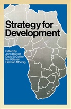 John Barratt - Strategy for Development