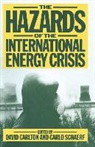 David Schaerf Carlton, David Carlton, Carlo Schaerf - Hazards of the International Energy Crisis