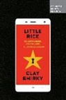 Clay Shirky - Little Rice