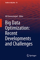 Al Emrouznejad, Ali Emrouznejad, Malcolm Horne - Big Data Optimization: Recent Developments and Challenges