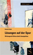 Dominik Godat - Lösungen auf der Spur