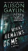 Alison Gaylin - What Remains of Me