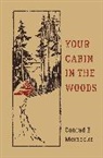 Victor Aures, Conrad Meinecke, Conrad E Meinecke, Conrad E. Meinecke, Victor Aures - Your Cabin in the Woods