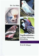 Ute Hahn - Vogelkrankheiten