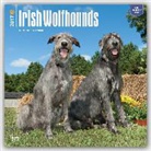 Not Available (NA) - Irish Wolfhounds 2017 Calendar