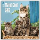 Inc Browntrout Publishers, Not Available (NA) - Maine Coon Cats 2017 Calendar