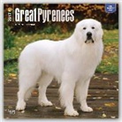 BrownTrout Publisher, Not Available (NA) - Great Pyrenees 2017 Calendar