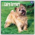 Inc Browntrout Publishers, Not Available (NA) - Cairn Terriers 2017 Calendar