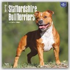 Not Available (NA) - Staffordshire Bull Terriers 2017 Calendar