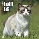 BrownTrout Publisher, Inc Browntrout Publishers, Not Available (NA) - Ragdoll Cats 2017 Calendar