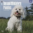 Not Available (NA) - Poodles, Toy and Miniature 2017 Calendar