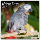Avonside Publishing Ltd. - African Greys 2017