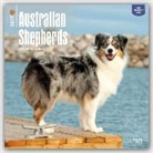 Inc Browntrout Publishers, Not Available (NA) - Australian Shepherds 2017 Calendar
