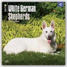 Not Available (NA) - German Shepherds, White 2017 Calendar