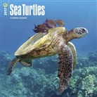 Not Available (NA) - Sea Turtles 2017 Calendar