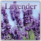 Avonside Publishing Ltd. - Lavender 2017
