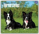 For the Love of Border Collies 2017