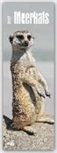 Meerkats 2017