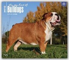 Not Available (NA) - Bulldogs, for the Love of 2017 Calendar