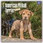 Not Available (NA) - American Pit Bull Terrier Puppies 2017 Calendar