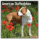Avonside Publishing Ltd. - American Staffordshire Terrier 2017
