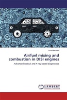 Luca Marchitto - Air/fuel mixing and combustion in DISI engines