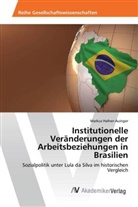 Markus Hafner-Auinger - Institutionelle Veränderungen der Arbeitsbeziehungen in Brasilien