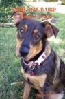Carolyn Arkison - Sadie Mae Baird ... Canine Avatar