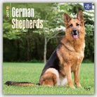 Inc Browntrout Publishers, Not Available (NA) - German Shepherds 2017 Calendar