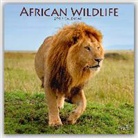 Avonside Calendar, Avonside Publishing Ltd. - African Wildlife 2017