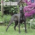 BrownTrout Publisher, Not Available (NA) - Great Danes 2017 Calendar