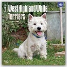 Inc Browntrout Publishers, Not Available (NA) - West Highland White Terriers 2017 Calendar