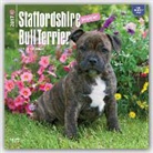 Not Available (NA) - Staffordshire Bull Terrier Puppies 2017 Calendar