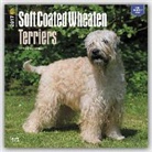 BrownTrout Publisher, Inc Browntrout Publishers, Not Available (NA) - Wheaten Terriers, Soft Coated 2017 Calendar