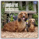 Not Available (NA) - Dachshunds, Longhaired 2017 Calendar