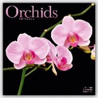 Avonside Publishing Ltd. - Orchids 2017