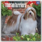 Not Available (NA) - Tibetan Terriers 2017 Calendar