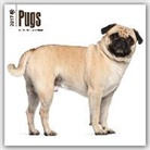 Inc Browntrout Publishers, Not Available (NA) - Pugs 2017 Calendar
