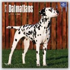 Not Available (NA) - Dalmatians 2017 Calendar