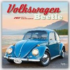 Not Available (NA) - Volkswagen Beetle 2017 Calendar